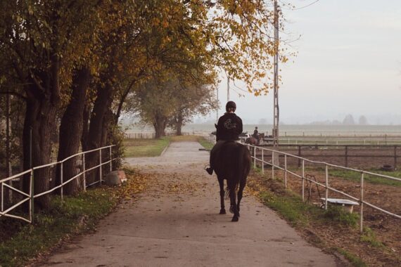 Gorczańska zagroda konie 1